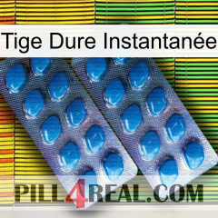 Tige Dure Instantanée viagra2